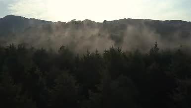 航拍被雾覆盖的森林缓慢的空中游览视频的预览图